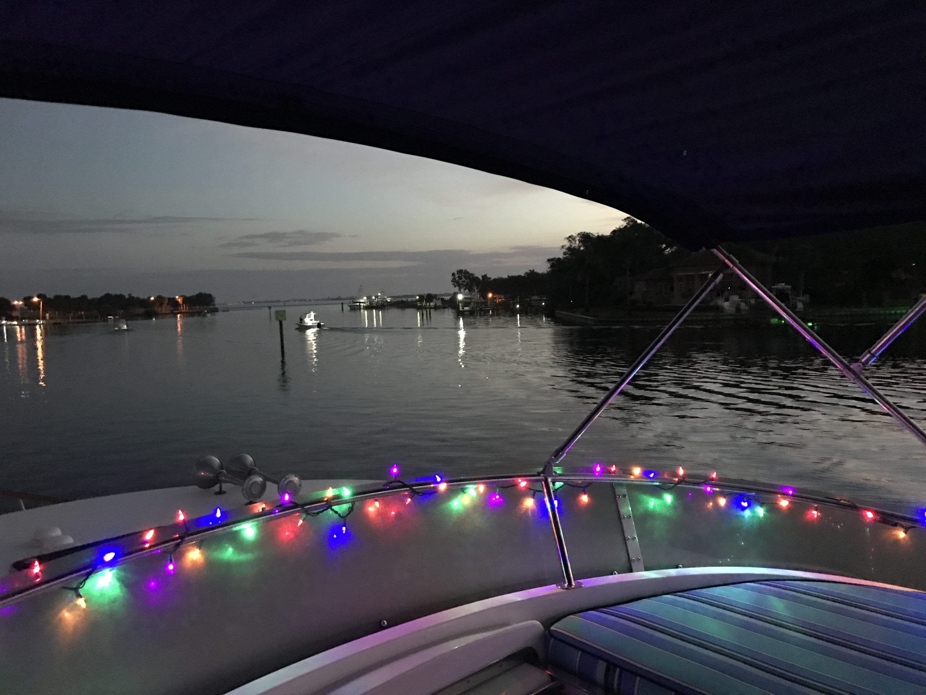 Elizabeth Anne with Christmas lights